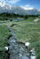 a small stream