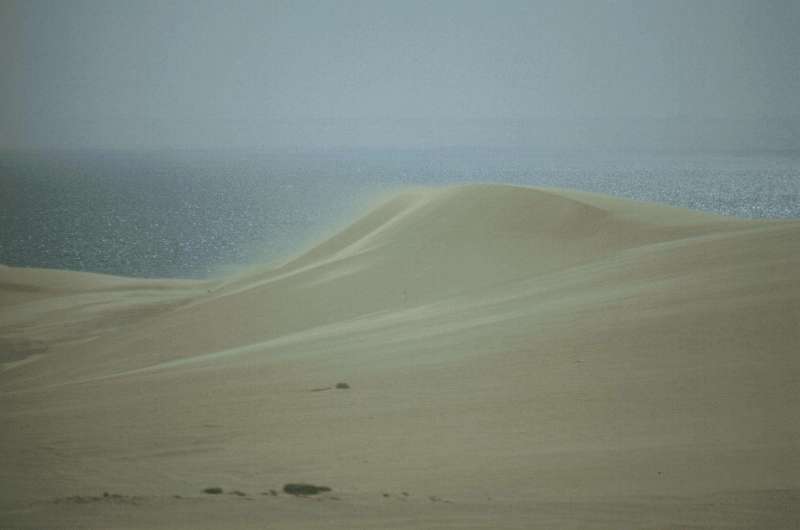 sand dunes in front of the lake of Wadi Rayan